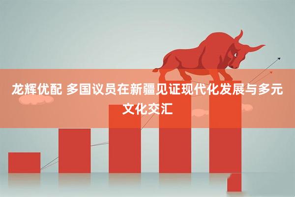 龙辉优配 多国议员在新疆见证现代化发展与多元文化交汇