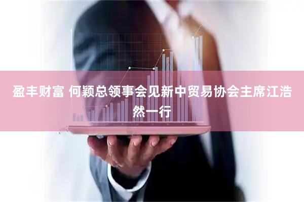 盈丰财富 何颖总领事会见新中贸易协会主席江浩然一行
