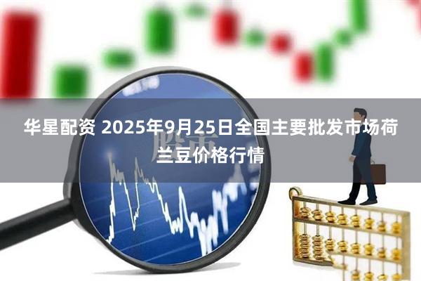 华星配资 2025年9月25日全国主要批发市场荷兰豆价格行情