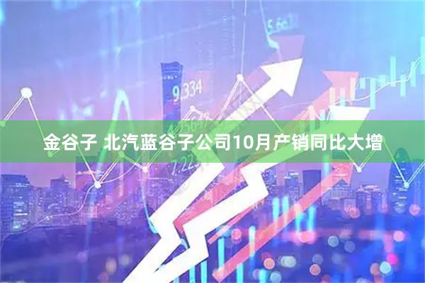 金谷子 北汽蓝谷子公司10月产销同比大增