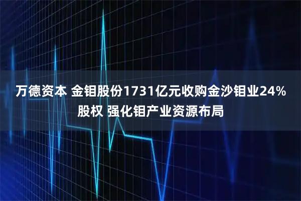 万德资本 金钼股份1731亿元收购金沙钼业24%股权 强化钼产业资源布局