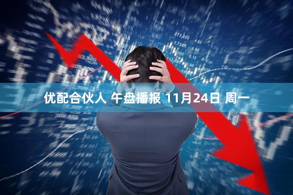 优配合伙人 午盘播报 11月24日 周一
