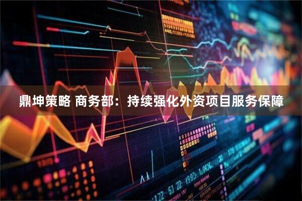 鼎坤策略 商务部：持续强化外资项目服务保障